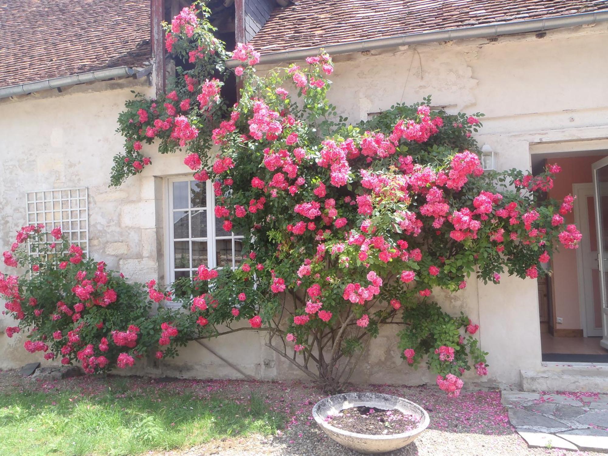 Chambres D'Hotes Du Domaine De Jacquelin Saint-Germain-du-Puy Rom bilde